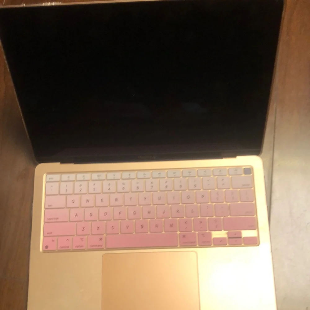 Apple Metallic Gold Laptop